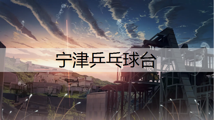 宁津乒乓球台