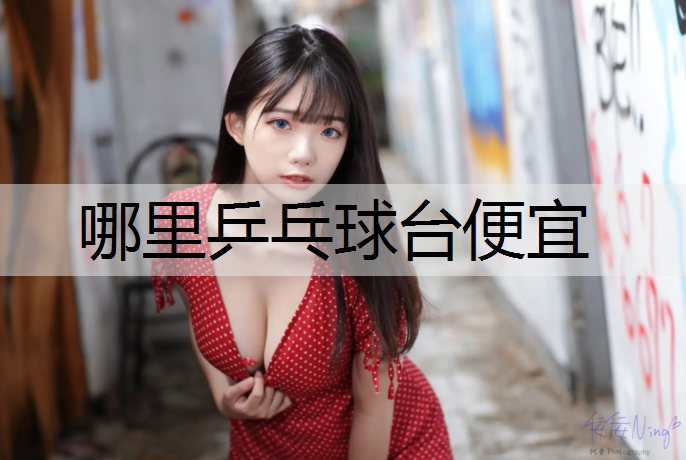 哪里乒乓球台便宜 哪里乒乓球台便宜